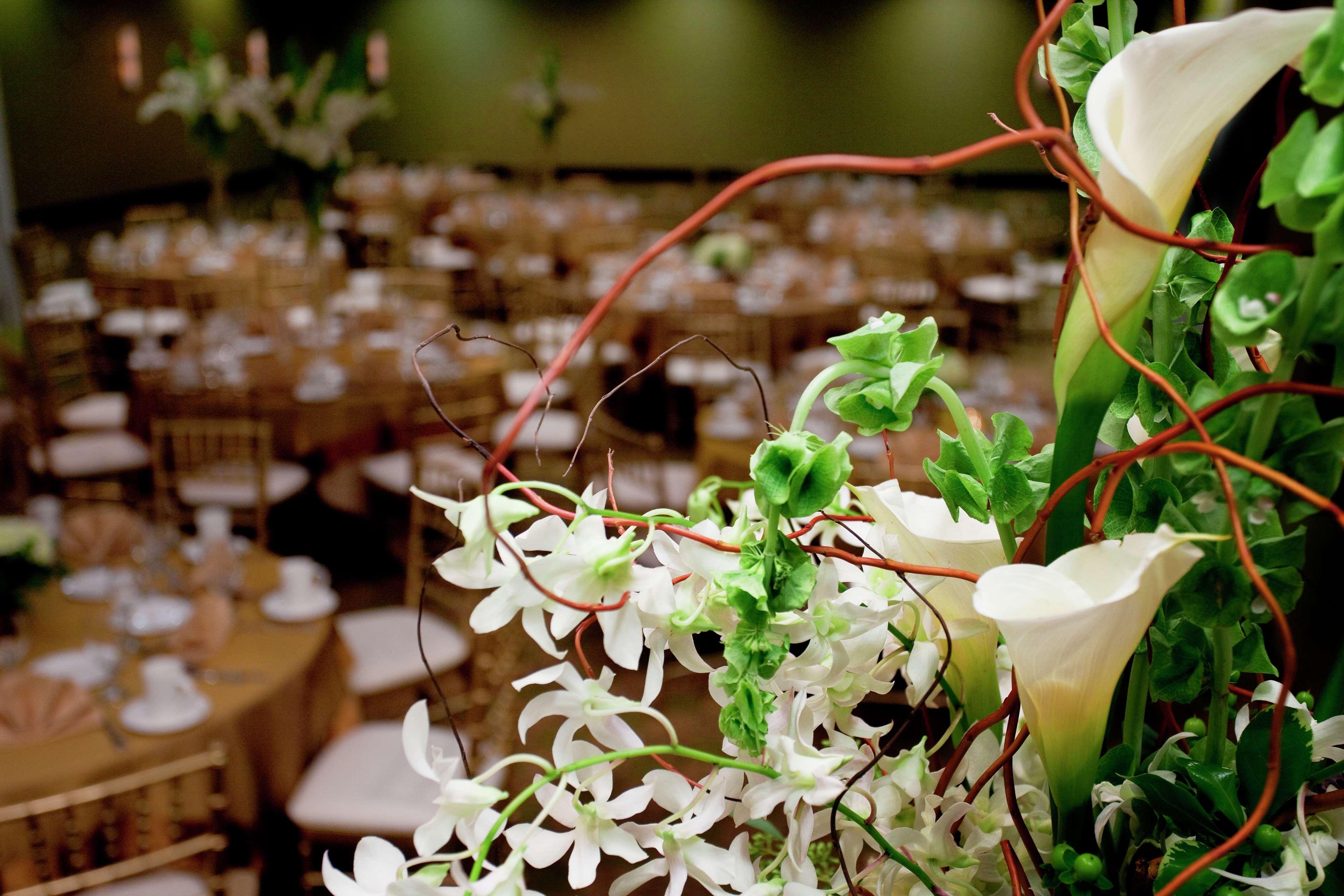Hilton Garden Inn Seattle/Bothell Exterior foto
